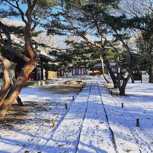 cosa fare a seoul in 4 giorni