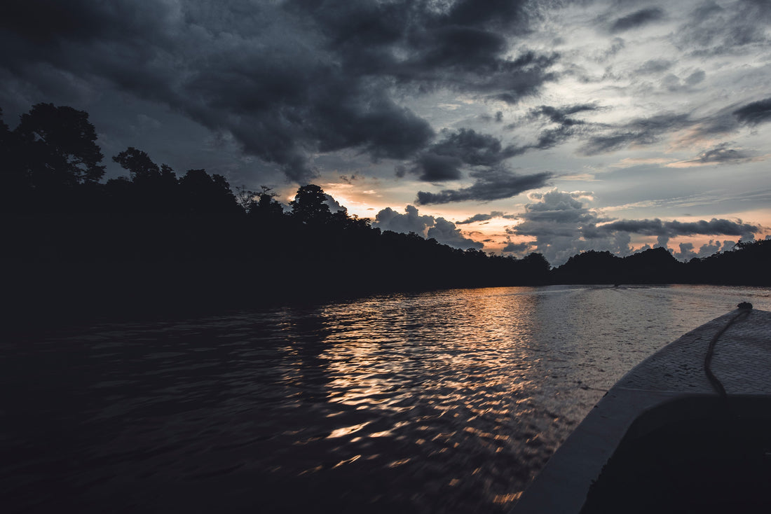 kinabatangan river