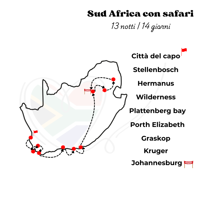 Tour del sud africa con safari