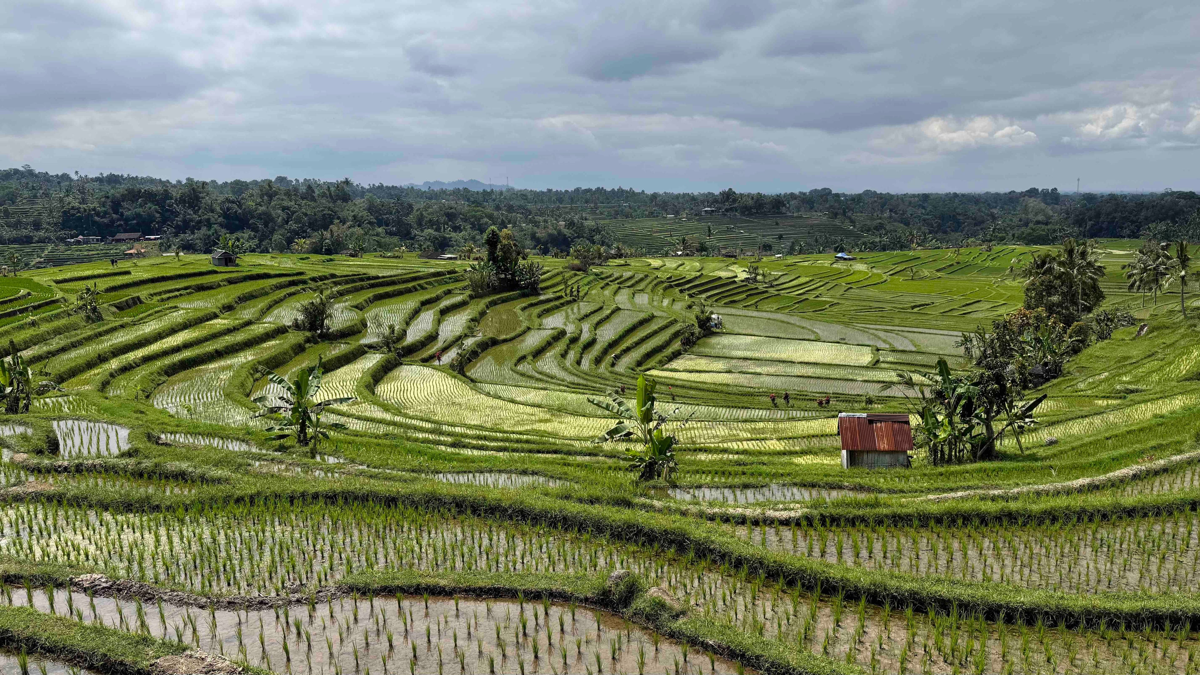indonesia travel itineraries