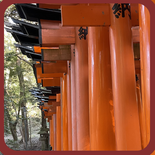 Kyoto mappa digitale