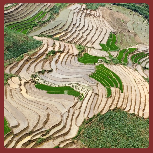vietnam travel map
